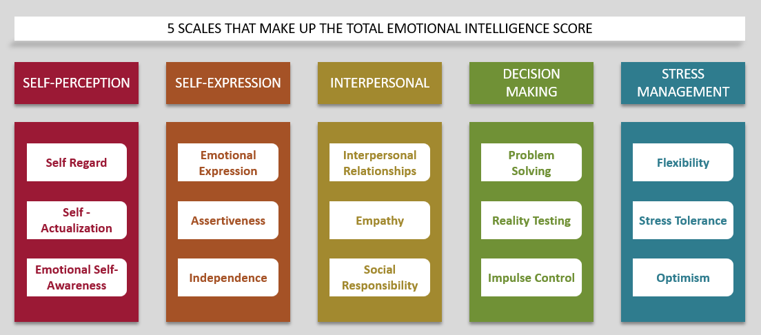 5 scales that make up the total emotional intelligence score: self perception, self expression, interpersonal, decision making, stress management, further subcategorized into 3 subscales each, total of 15 soft skills